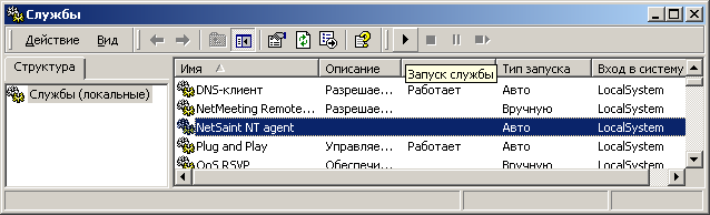 ������ NetSaint